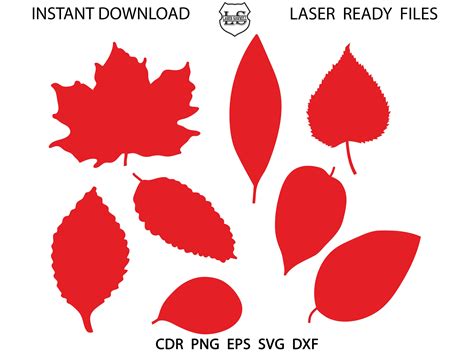 Feuille Svg 8 Feuilles Superposées Svg 8 Feuilles Svg Etsy Canada