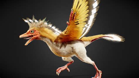 Archaeopteryx 3d Model By Khata Cbec559 Sketchfab