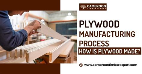 A Detailed Look At The Plywood Manufacturing Process