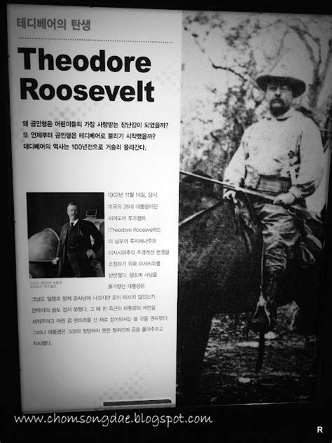 Origin Of Teddy Bear And Theodore Roosevelt