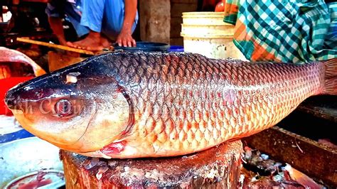 Amazing Live Rohu Fish Cutting Skills Giant Big Rohu Fish Cutting And