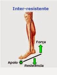 Portifólio de Biomecânica ALAVANCAS