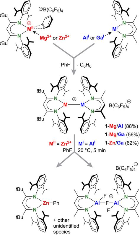 Cationic Heterobimetallic Mg Zn Al Ga Combinations For Cooperative C