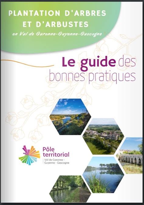 Un Guide Des Essences Locales Pour Sadapter Aux Nouvelles Conditions