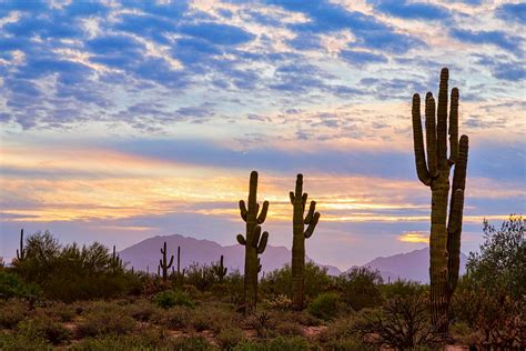 Just Another Colorful Sonoran Desert Sunrise Photograph by James BO Insogna - Pixels