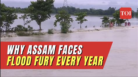 Explained Why Assam Faces Flood Fury Every Year After The Great