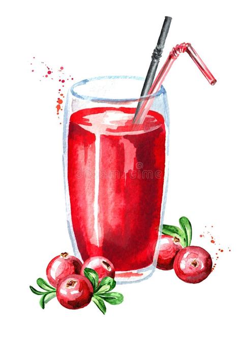 Glass Of Cranberry Juice And Fresh Ripe Berries Watercolor Hand Drawn Illustration Isolated On