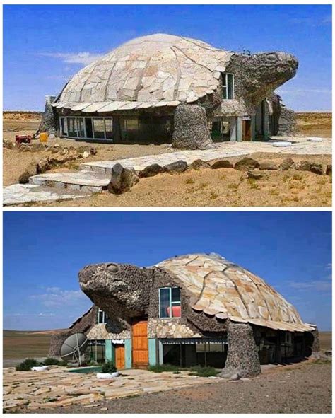 The Gobi Desert Turtle House | Nickey's Circle