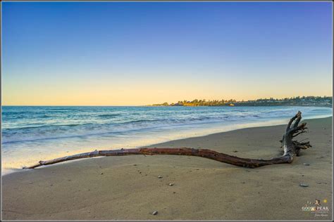 Driftwood On The Beach Beach Driftwood Outdoor