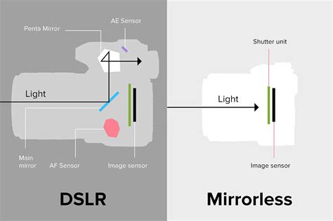 Diferencias entre una cámara DSLR y una cámara mirrorless | fotogeek