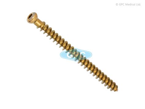 Veterinary Cancellous Screw 6.5mm Manufacturer | India