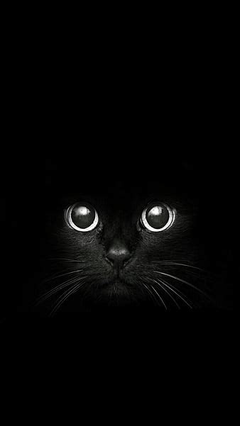 Details 78+ iphone black cat wallpaper super hot - in.cdgdbentre