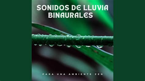 Gotas De Lluvia Tranquilas En Sonidos Binaurales YouTube