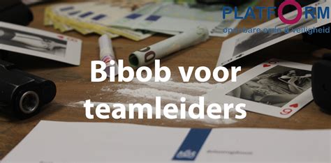 Webinar Bibob Voor Teamleiders En Afdelingshoofden Integrale