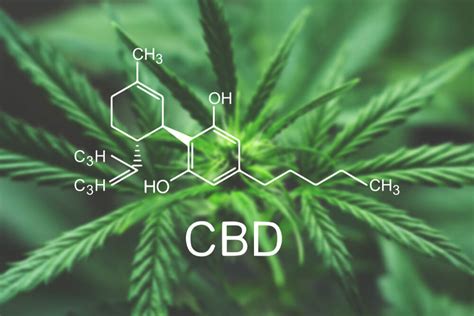 Brodrick Chart Shows Why Cbd Use Cannabis Stocks Are Soaring