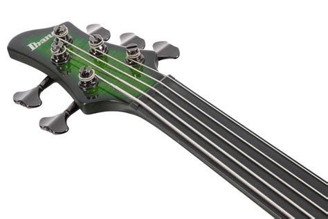 Ibanez Sdgb1dmt Steve Di Giorgio Signature 5 String Fretless Electric