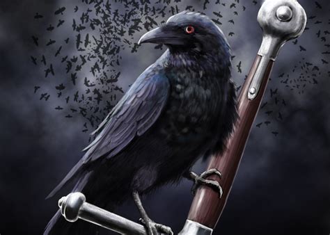 2390x1705 Crow, Raven, HD Wallpaper | Rare Gallery