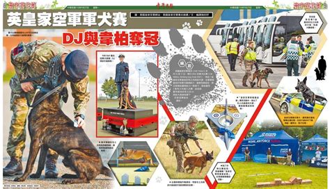 【寰宇萬花筒】英皇家空軍軍犬賽 Dj與韋柏奪冠 國際 【寰宇萬花筒】英皇家空軍軍犬賽 Dj與韋柏奪冠 青年日報