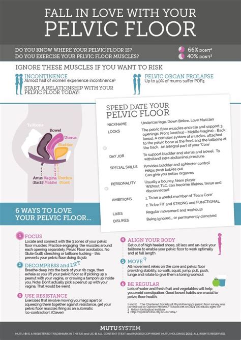 Your Pelvic Floor The Infographic Pelvic Floor Pelvic Floor