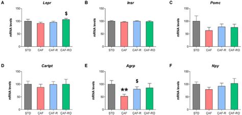 Metabolites Free Full Text Effects Of A Calorie Restricted