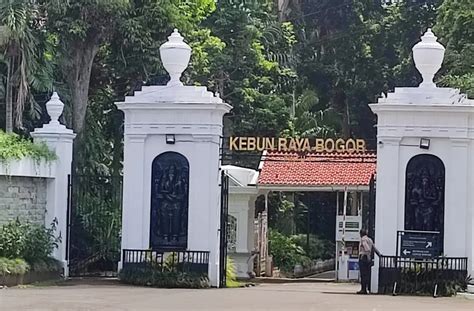 Viral Video Keluhan Mahalnya Tiket Kebun Raya Bogor Berikut Penjelasan