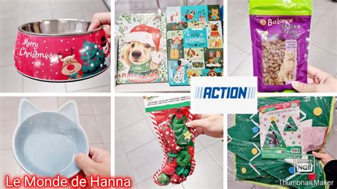 ACTION ARRIVAGE 07 10 ANIMAUX CHIEN CHAT ACCESSOIRES JOUETS YouTube