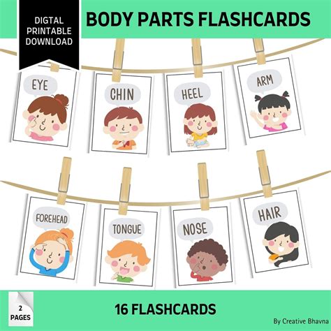 Printable Flashcards Body Parts Flashcards Parts of Body - Etsy