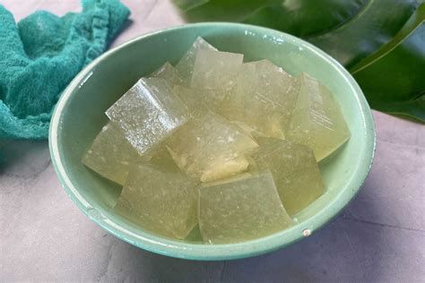 20 Coconut Jelly Recipe Nellieella