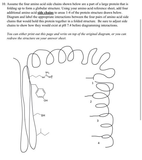 Solved Assume the four amino acid side chains shown below | Chegg.com