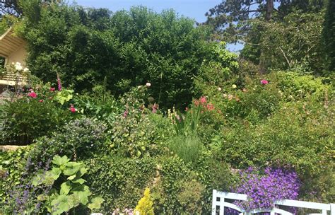 National Garden Scheme Open Garden The Cottage Pulborough Sussex Local