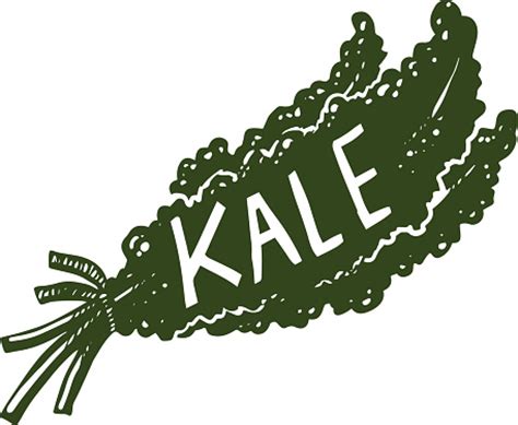 Kale clipart - Clipground