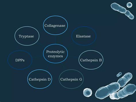 Biomarkers In Periodontal Disease Ppt