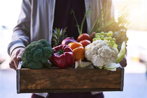 Os Cuidados O Transporte De Alimentos Perec Veis Real Furg Es