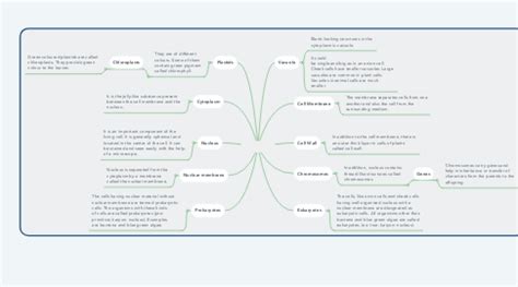 Cell Organelle Mindmeister Mind Map