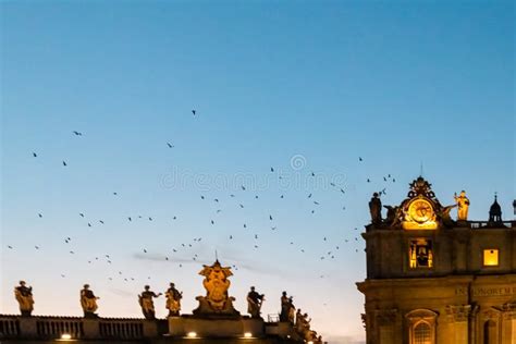 Rome Flock Of Birds Flying Over Illuminated Facade Of The Saint Peter