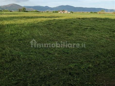 Terreno Agricolo Via Sant Ippolito 111 Prato Rif 105116027