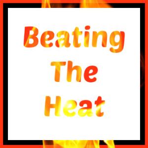 Beat The Heat Quotes. QuotesGram