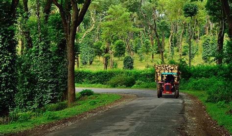 Bangalore To Coorg A Road Trip Like No Other