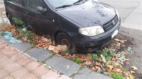 Messina Tra Incuria E Incivilt Che Degrado Sul Viale Regina Elena