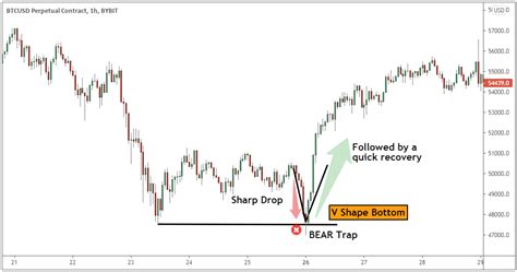 How To Avoid A Bear Trap When Trading Crypto Bybit Learn