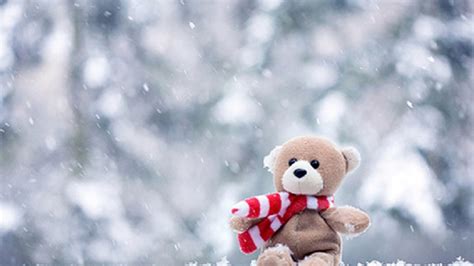 Teddy Bear Desktop Backgrounds Hd With Image Resolution Teddy Bear