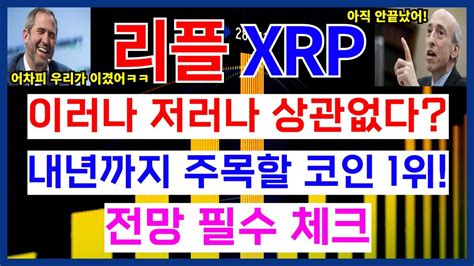 리플 Xrp 이러나 저러나 상관없다 내년까지 주목한 코인 1위 전망 필수 체크 Youtube