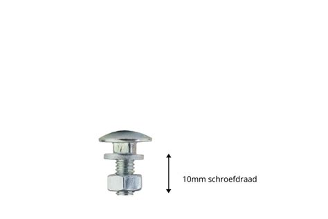 Schlossschrauben Verzinkt M6 x 16 mm günstig bei Wovar