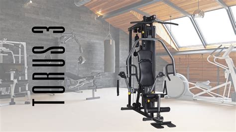 Horizon Multi Home Gym The Torus 3 YouTube