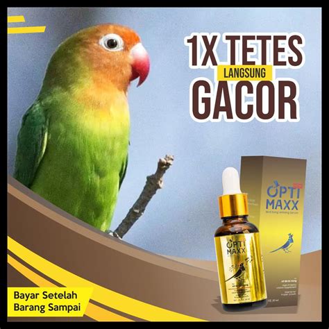 Jual BISA COD OPTIMAXX VITAMIN TETES BURUNG KICAU SANGKAR KERODONG