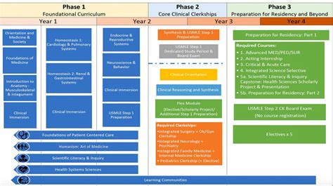 Curriculum - Jacobs School of Medicine and Biomedical Sciences ...