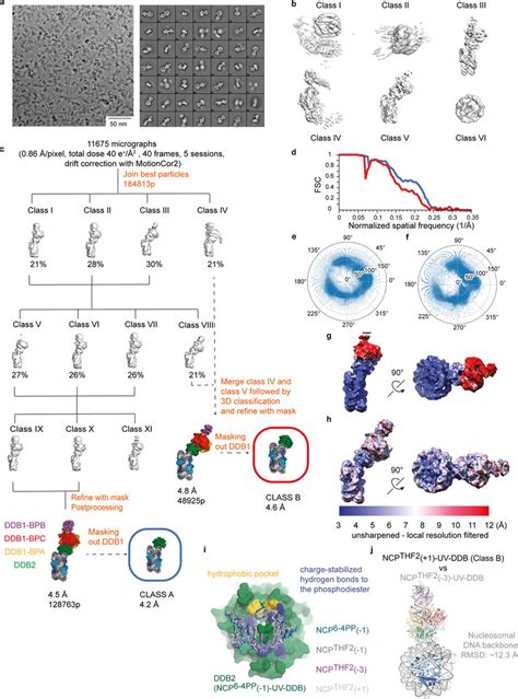 Classification And Refinement Procedures For Ncpthf Uv Ddb A