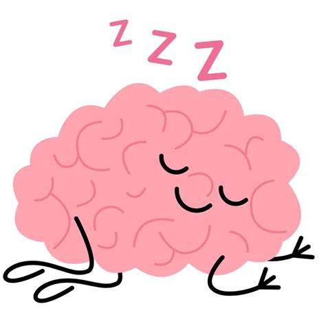 brain rest  sleep cherished sleep