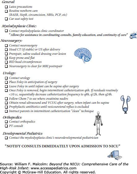 Neural Tube Defects | Obgyn Key