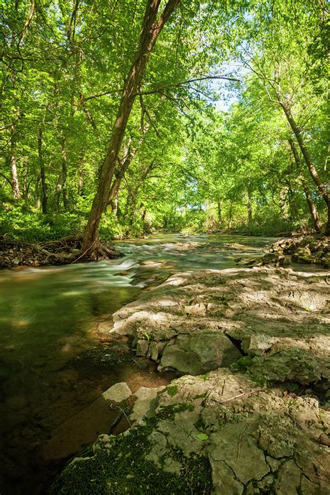 Sager Creek Photograph By Tony Colvin Fine Art America